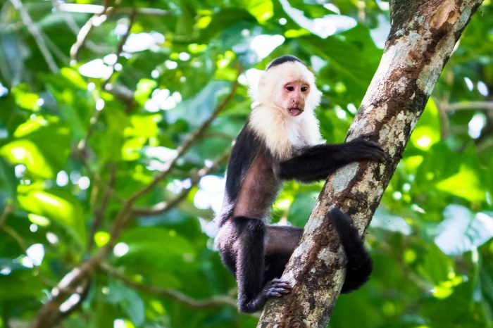 Costa Rica